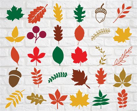 autumn leaf svg